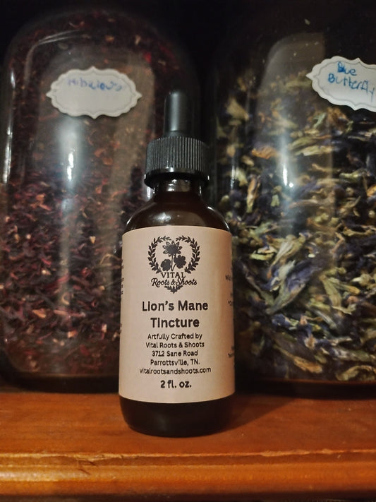 Lion’s Mane Mushroom Tincture 1:2 Dual Extract (40% ABV) | Vital Roots & Shoots